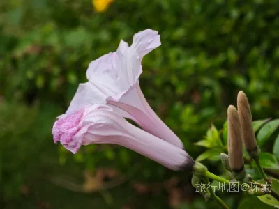 勐腊县航拍照片