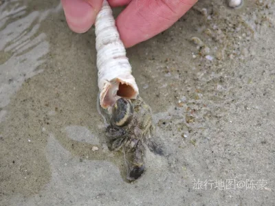 银海区航拍照片