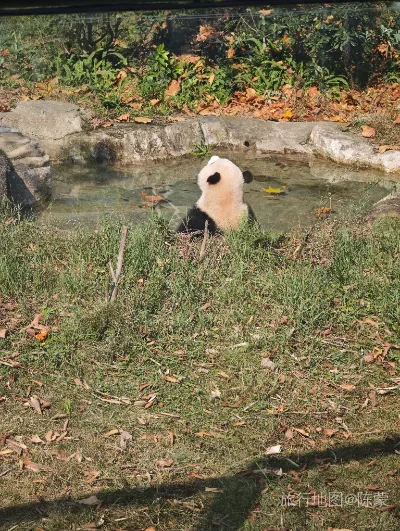 成华区航拍照片