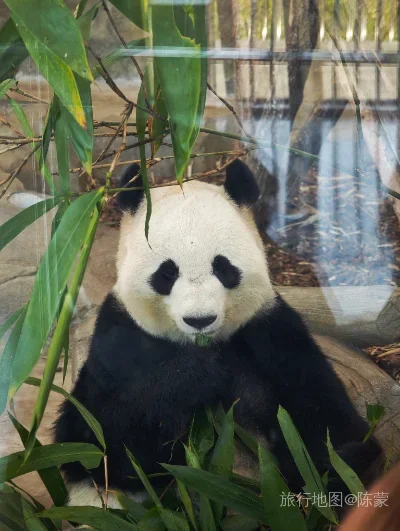 成华区航拍照片