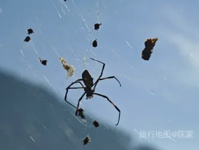 香格里拉市航拍照片