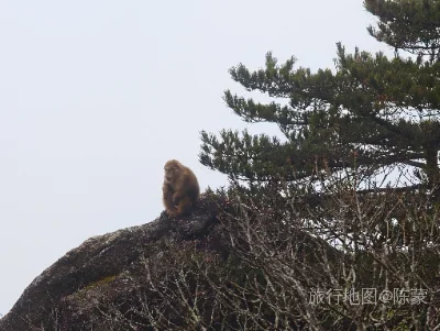 黄山区航拍照片