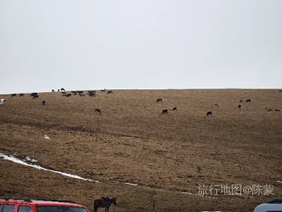 特克斯县航拍照片