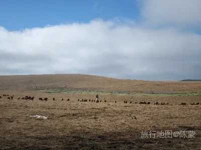 特克斯县航拍照片