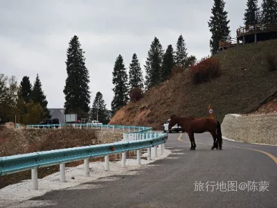 巩留县旅行照片
