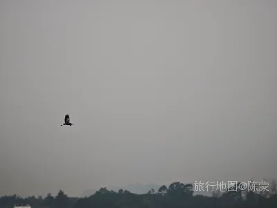 市中区航拍照片