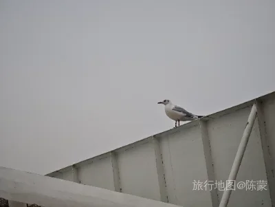 市中区航拍照片