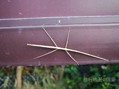 古城区航拍照片