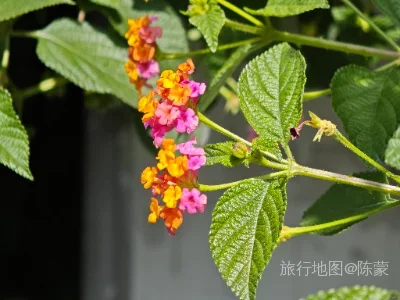 盐边县航拍照片