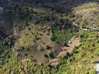 思茅区航拍照片