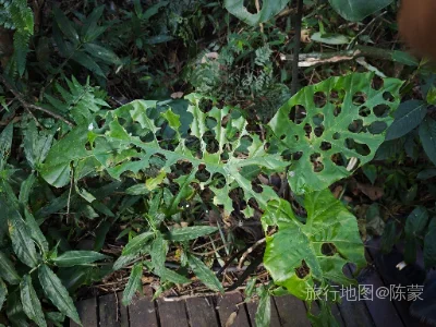 思茅区航拍照片