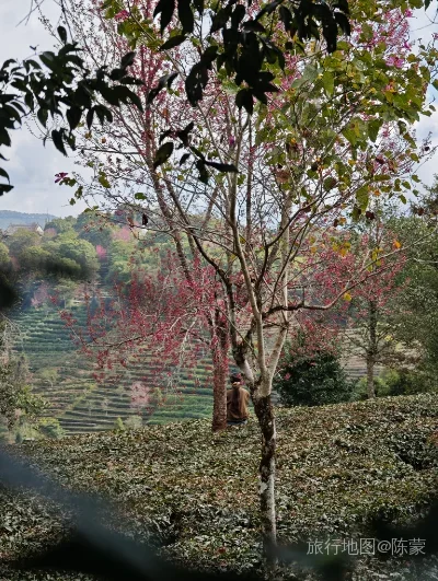 思茅区航拍照片