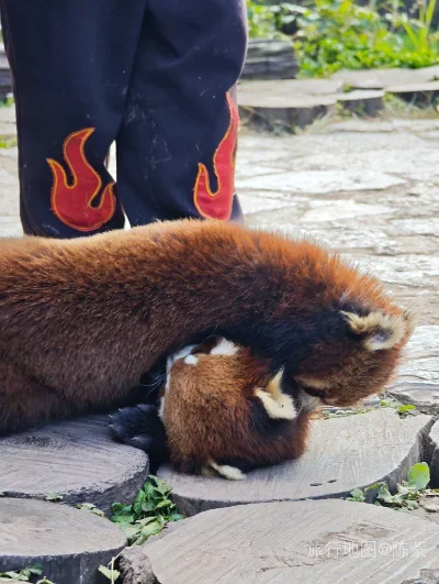思茅区旅行照片