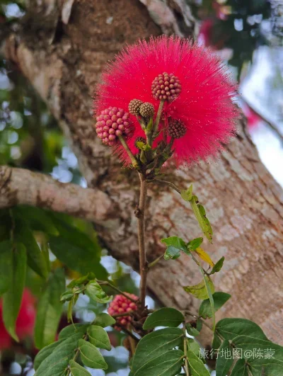 思茅区航拍照片