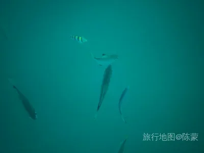 海棠区航拍照片