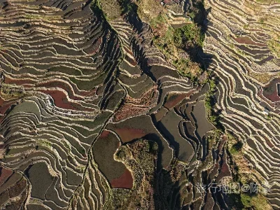 元阳县航拍照片