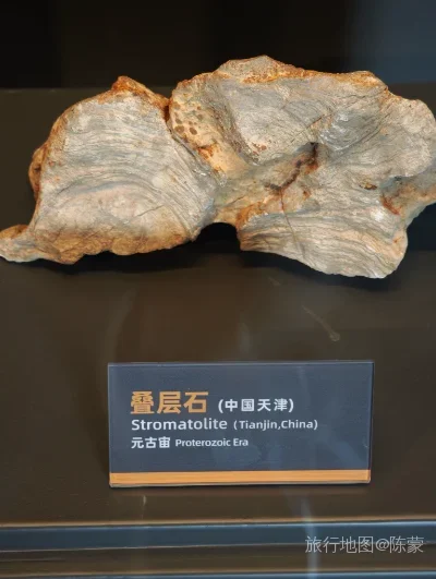 滨海新区旅行照片