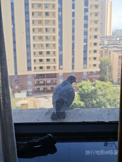伊宁市航拍照片