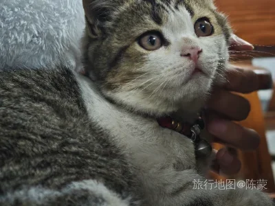 徐闻县航拍照片