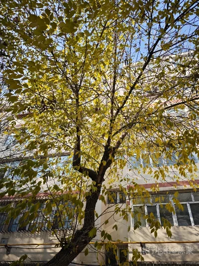 沙依巴克区航拍照片