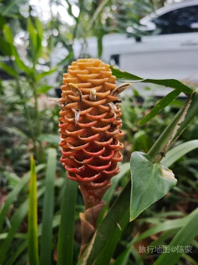 勐腊县航拍照片