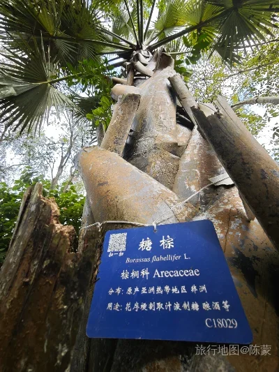 勐腊县航拍照片