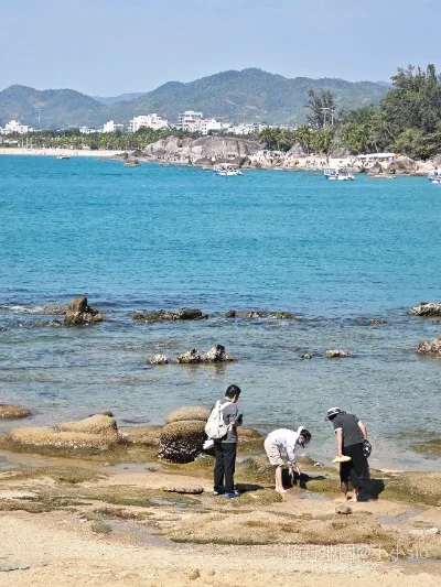 天涯区航拍照片