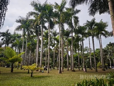 勐腊县旅行照片