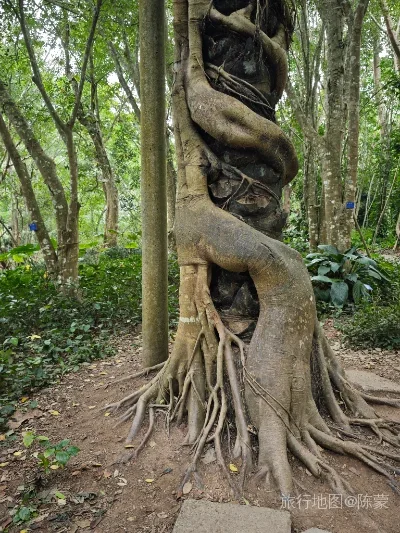 勐腊县航拍照片