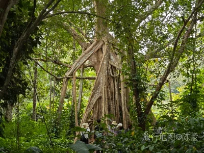 勐腊县航拍照片